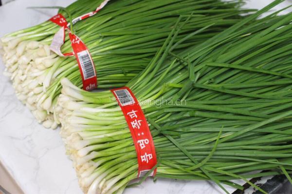 葱泡菜파김치的做法图解1