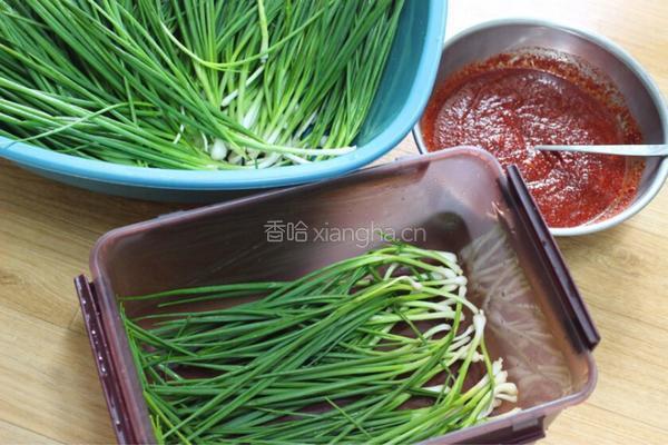 葱泡菜파김치的做法图解8