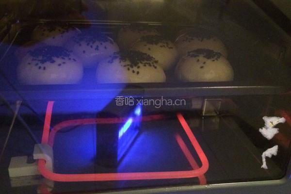 餡料傳統月饼的做法图解8