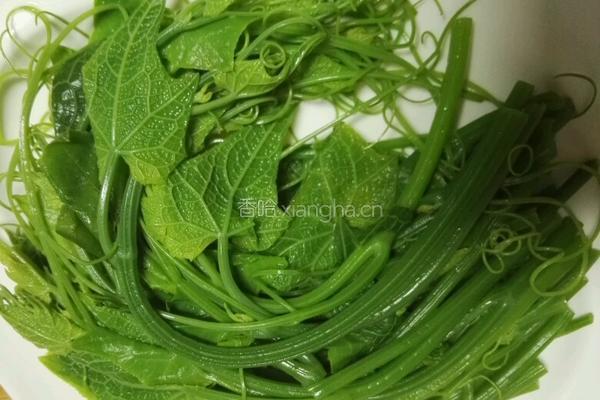 凉拌南瓜藤的做法图解11