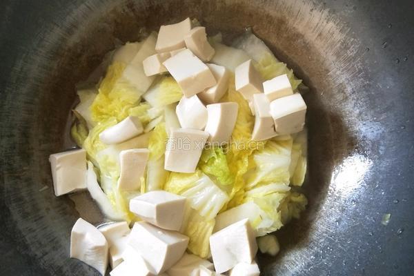 白菜烧豆腐的做法图解6