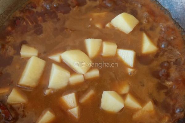 土豆烧牛肉的做法图解9