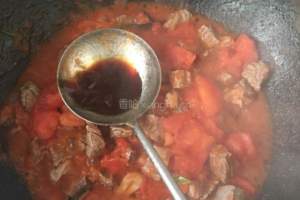 西红柿炖牛腩的做法图解13