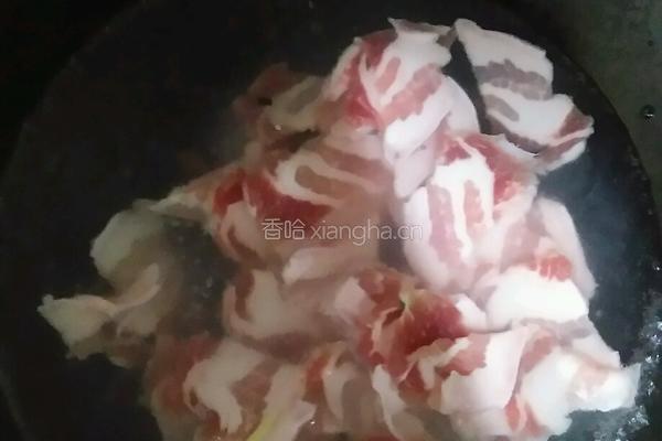 农家小炒肉的做法图解4