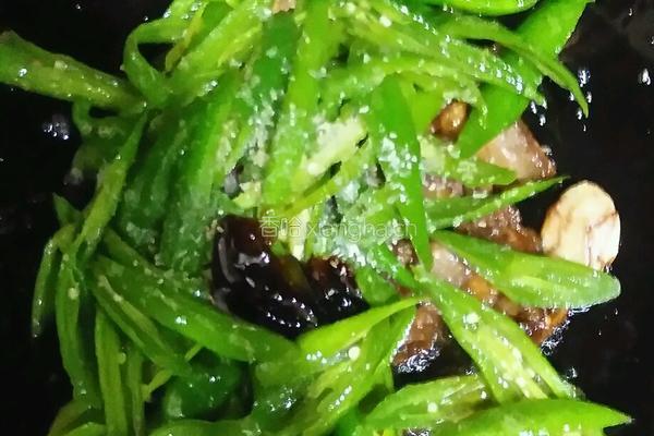 农家小炒肉的做法图解11