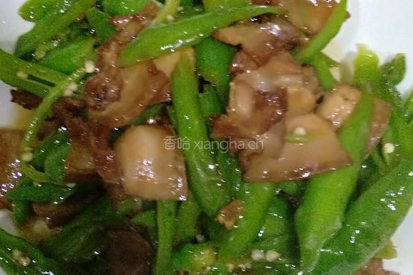 农家小炒肉的做法图解12