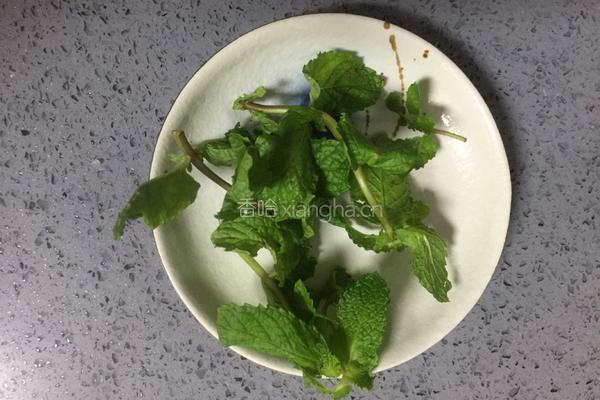 柚子薄荷饮的做法图解5