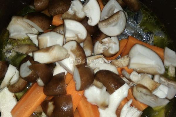清炖乌鸡火锅的做法图解10