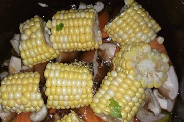 清炖乌鸡火锅的做法图解11