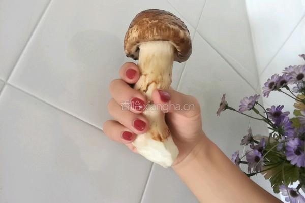 黄油煎松茸的做法图解1