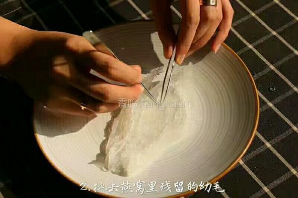 清炖燕窝的做法图解2