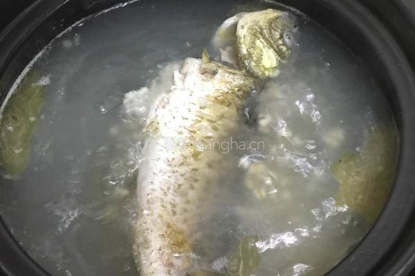 鲫鱼薏米白萝卜葱汤 的做法图解13