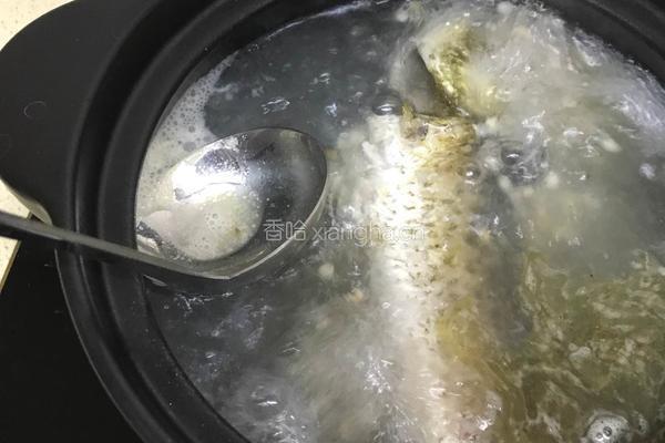 鲫鱼薏米白萝卜葱汤 的做法图解14