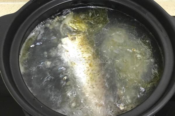 鲫鱼薏米白萝卜葱汤 的做法图解15