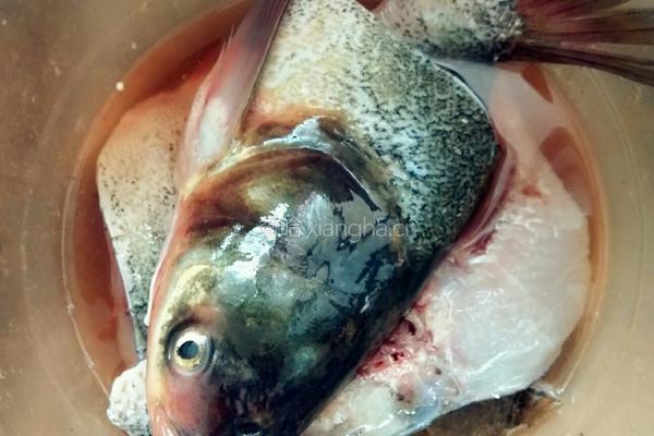 豆泡煮鳙鱼的做法图解2