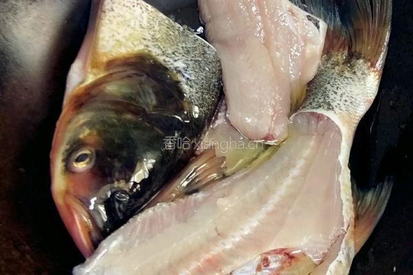 豆泡煮鳙鱼的做法图解4