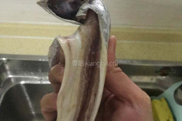 糖醋带鱼的做法图解1