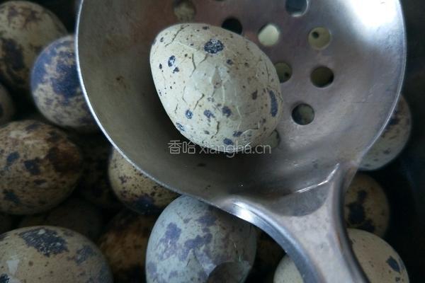 五香鹌鹑蛋的做法图解6
