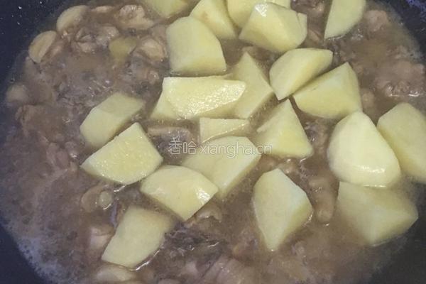 土豆焖鸡的做法图解8