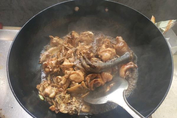 香菇土豆炖鸡的做法图解8