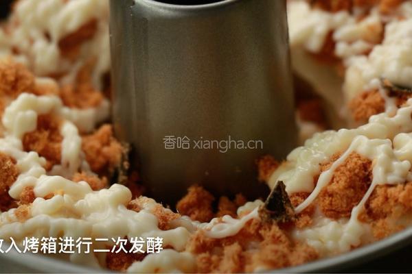 海苔肉松手撕包的做法图解15