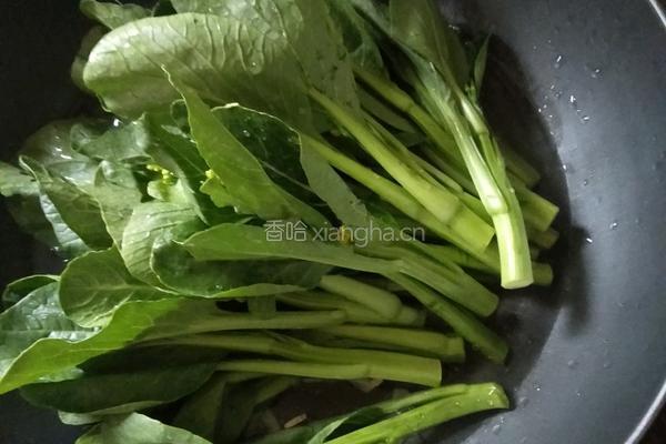 蒜蓉青菜的做法图解4