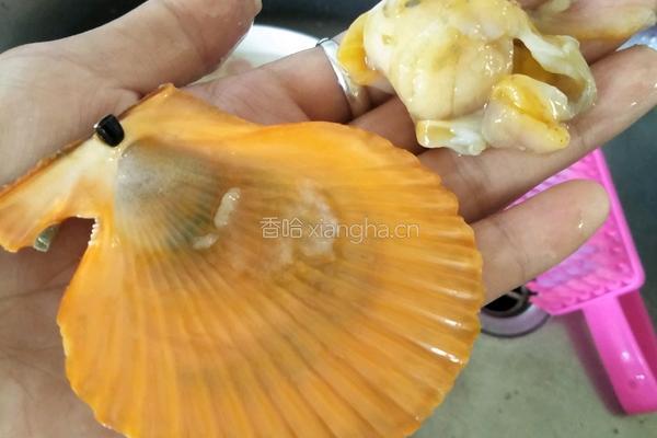 蒜蓉粉丝蒸扇贝的做法图解3