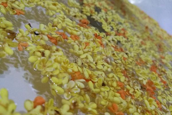 桂花蜜的做法图解1