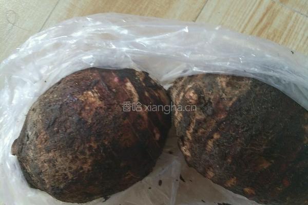 香芋丸的做法图解1
