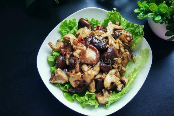 孜然香菇的做法图解12