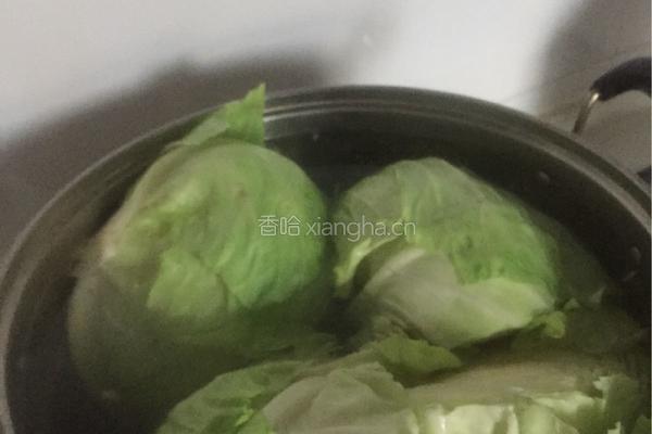 圆白菜酸菜的做法图解5