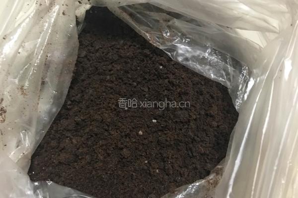 酸奶盆栽的做法图解2