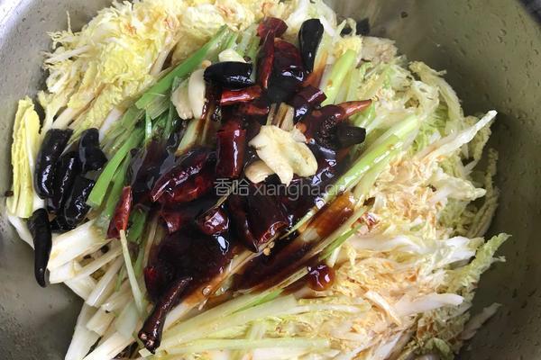 油泼小白菜的做法图解6