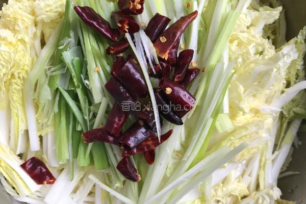 油泼小白菜的做法图解3