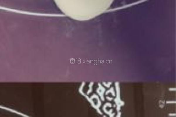 苏式百果月饼的做法图解22