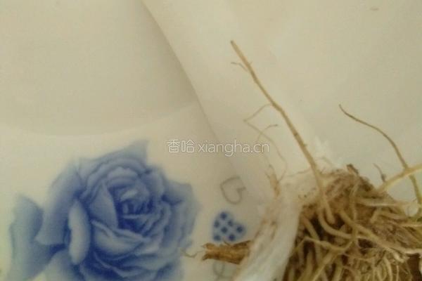 香辣藕丁的做法图解4