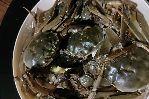 清蒸螃蟹的做法图解3