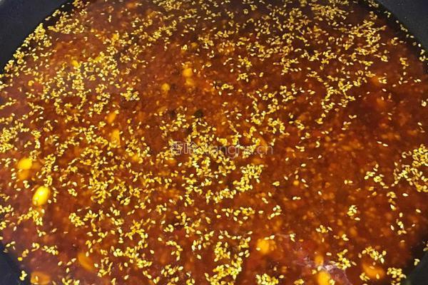 秘制牛肉辣酱的做法图解17