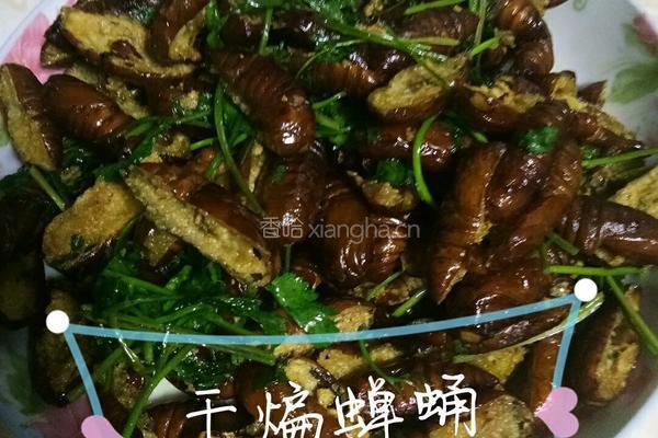 干煸蝉蛹