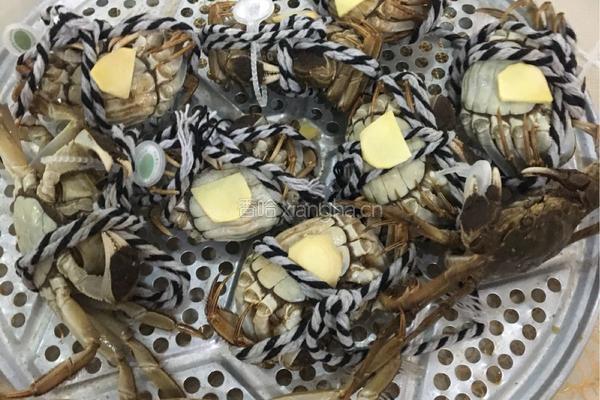 清蒸阳澄湖大闸蟹的做法图解5