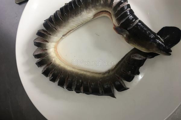 豉汁盘龙鳗的做法图解2