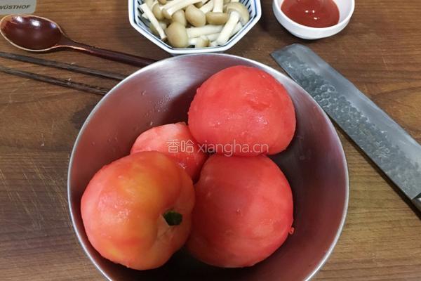西红柿炖牛腩的做法图解7