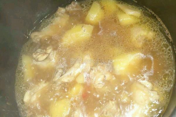 土豆焖鸡腿的做法图解5