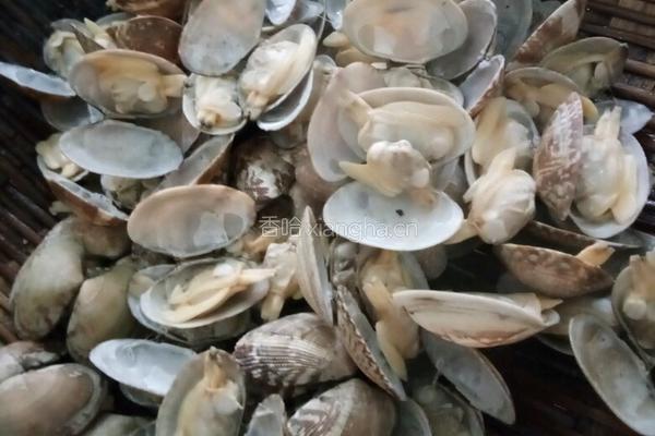 香辣花甲的做法图解1