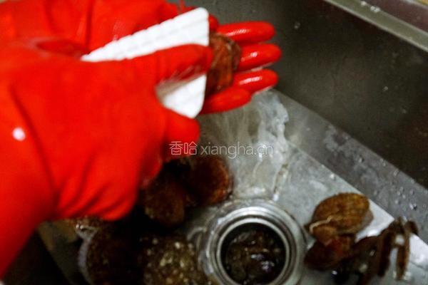 蒜蓉扇贝的做法图解1