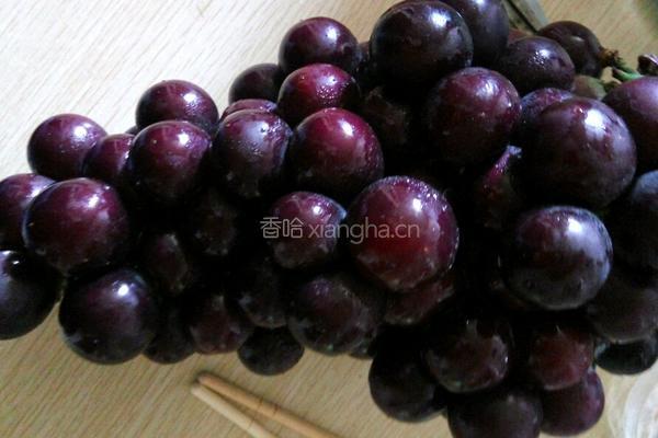 自制葡萄酒的做法图解1