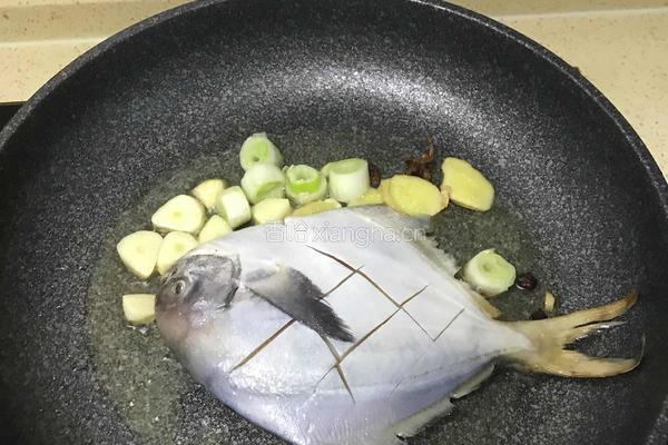 糖醋鲤鱼的做法图解5