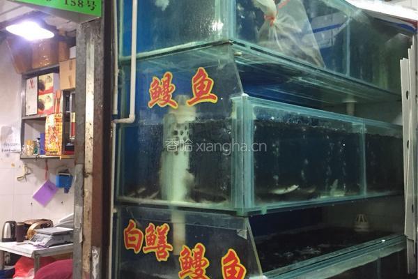 豆豉蒸白鳗鱼的做法图解1