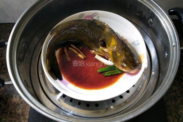 清蒸黄刺鱼的做法图解7