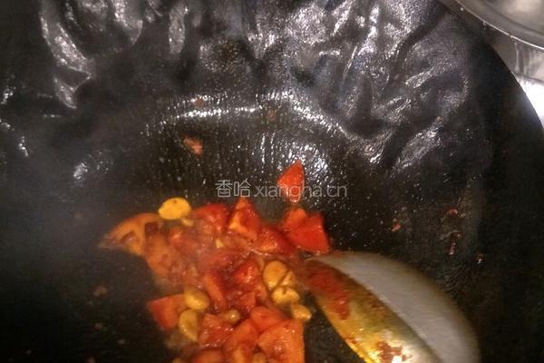 西红柿炖牛腩的做法图解3